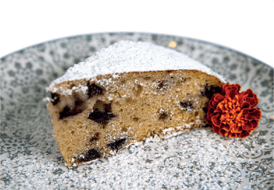 A slice of light-colored cake with chocolate chips, generously dusted with powdered sugar, rests on a patterned plate.